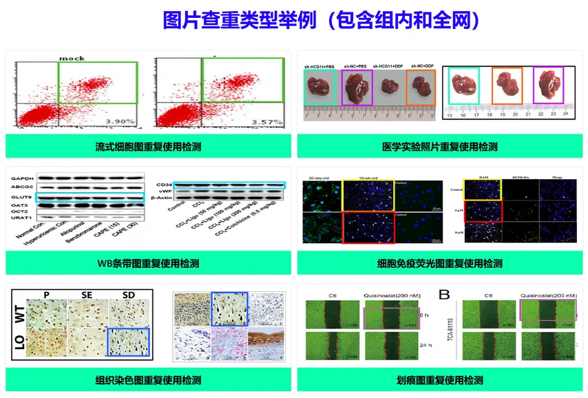 AI图片查重算法演示