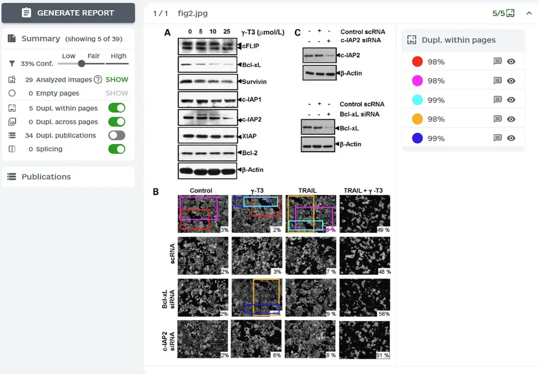 ImageTwin检测流程演示