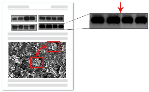 图片篡改检测功能