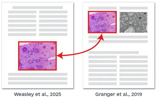 学术图片抄袭检测
